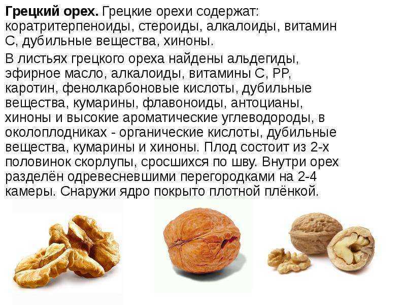 Грецкий орех. польза и вред. полезные свойства. калорийность