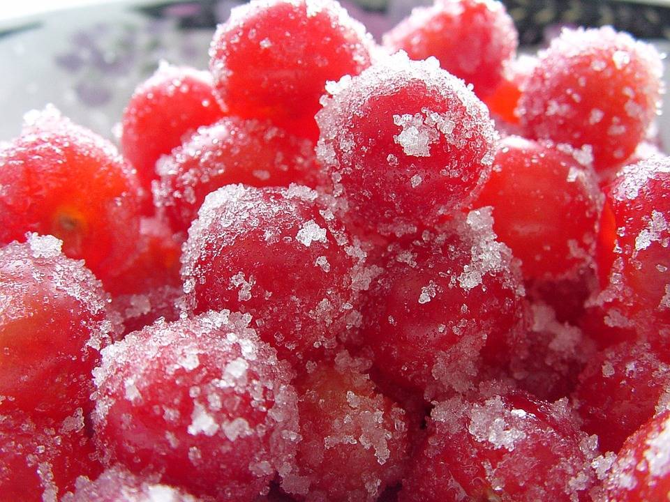 Вишня, протертая с сахаром на зиму, рецепты свежих ягод, перекрученных в блендере