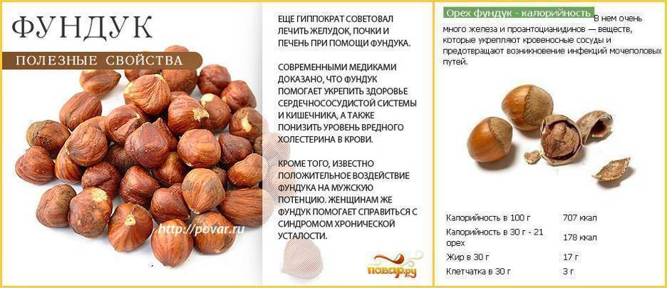 Фундук: польза и вред ореха для организма, состав и калорийность