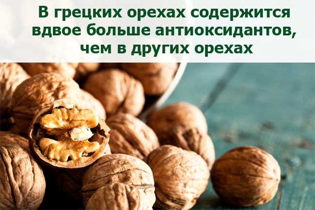 Описание сортов и видов грецкого ореха: морозоустойчивые, с тонкой скорлупой