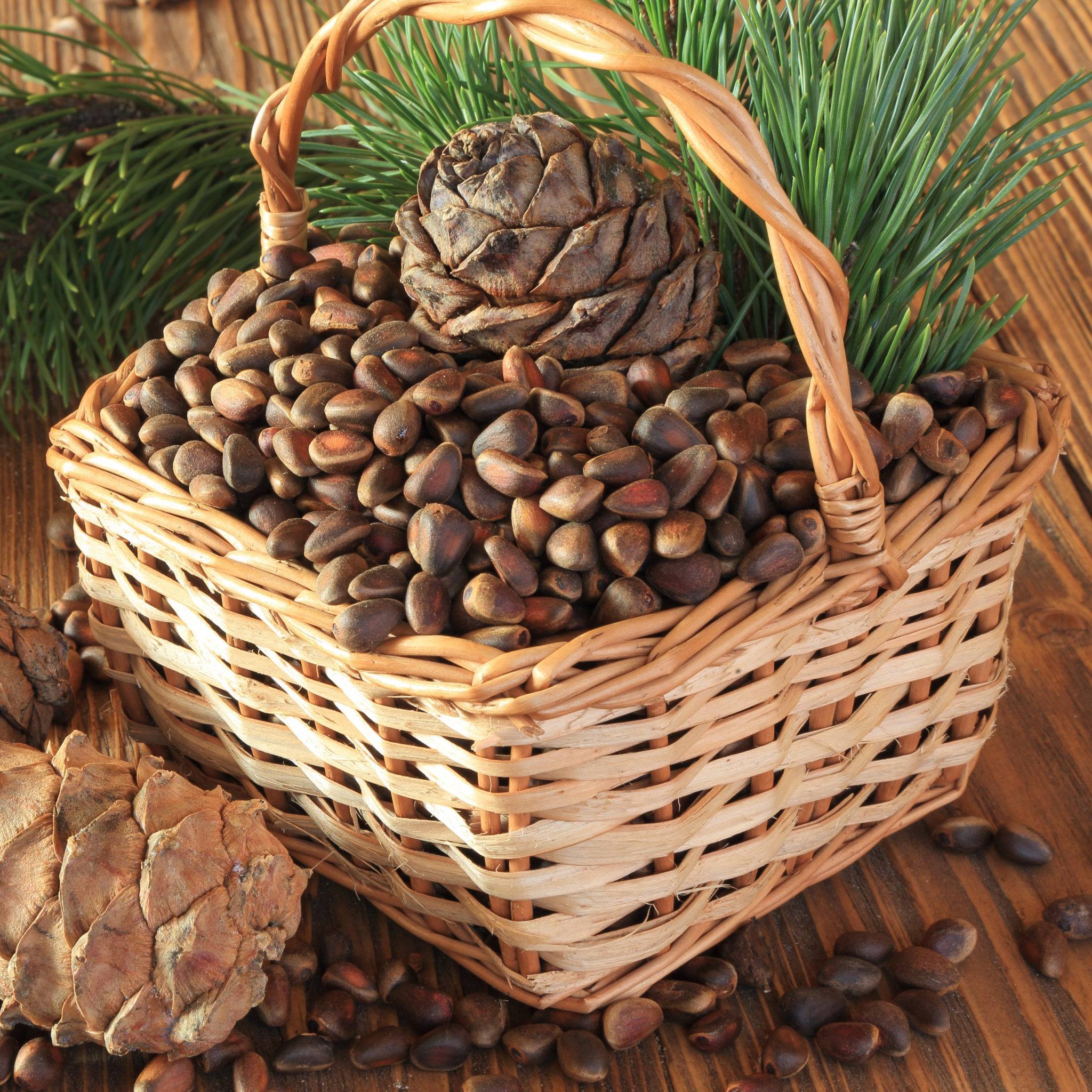 Как хранить орехи в домашних условиях: основные методы, срок годности