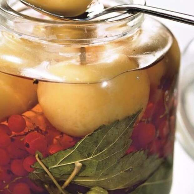 Моченые яблоки: лучшие рецепты на зиму