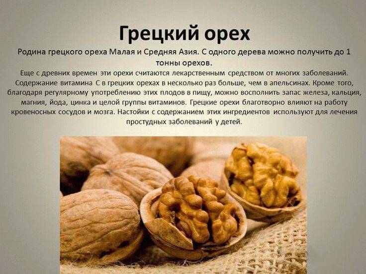 Грецкий орех: польза, вред, калорийность, лечебные свойства