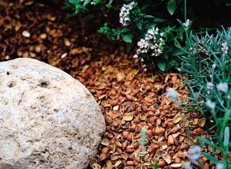 Используем листья грецкого ореха как удобрение