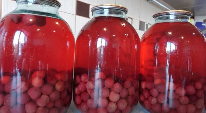 Компот из вишни на зиму – 8 рецептов в 3-х литровых банках