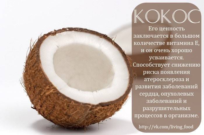 Полезен ли кокос: свойства, вещества, сколько можно, рецепты