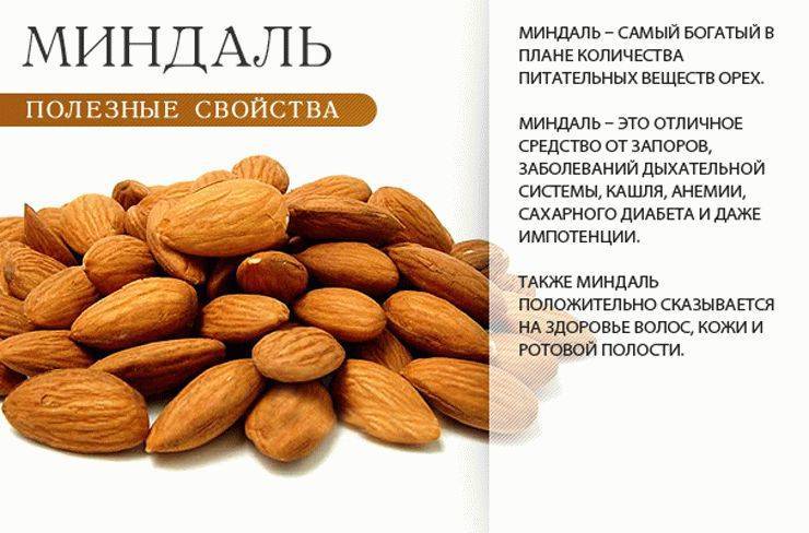 Полезные свойства миндаля для организма мужчин, суточная доза ореха