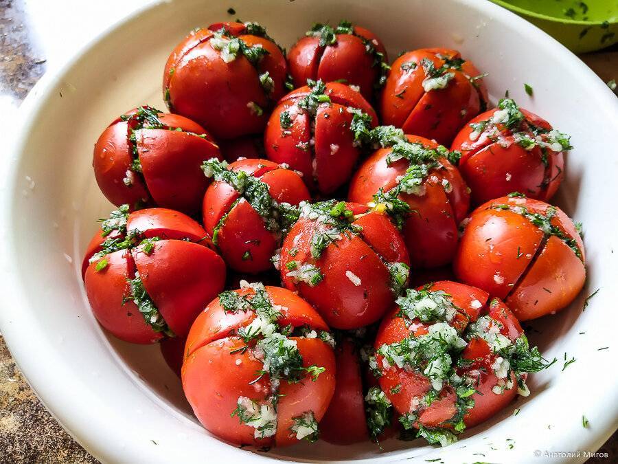 Самые вкусные помидоры рецепт фото. Томаты малосольные. Фаршированные помидорки черри. Помидоры фаршированные капустой армянчики. Малосольные помидоры с чесноком и зеленью.