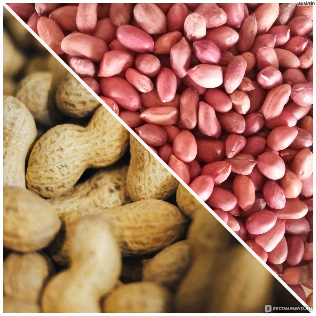 “арахис — польза и вред для нашего организма, калорийность и способы приготовления”