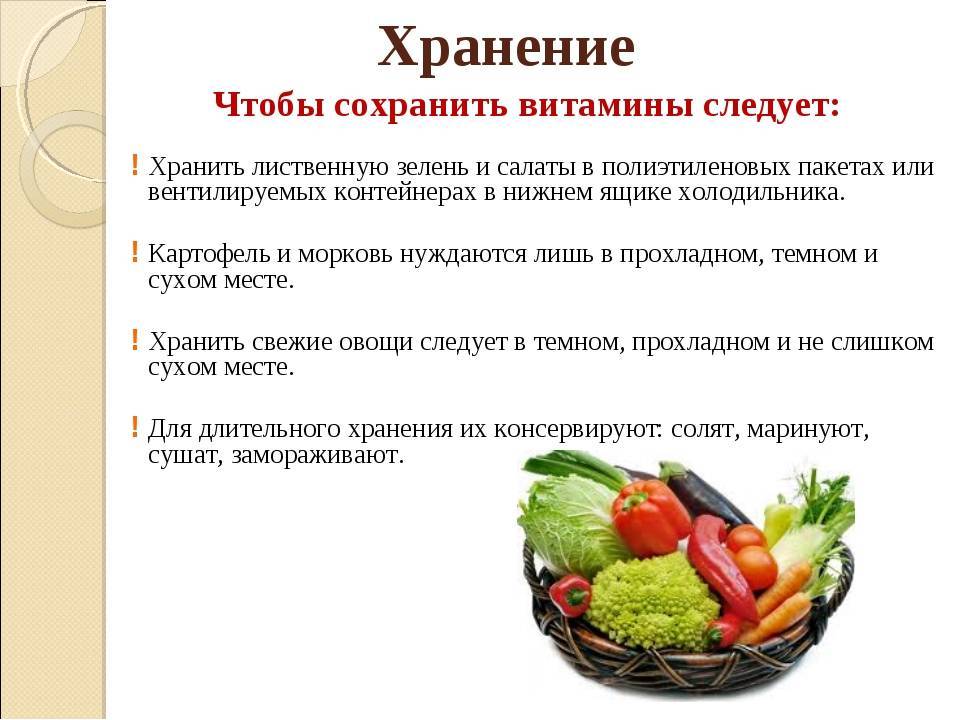 ✅ 6 основных способов консервирования продуктов - legguns.ru
