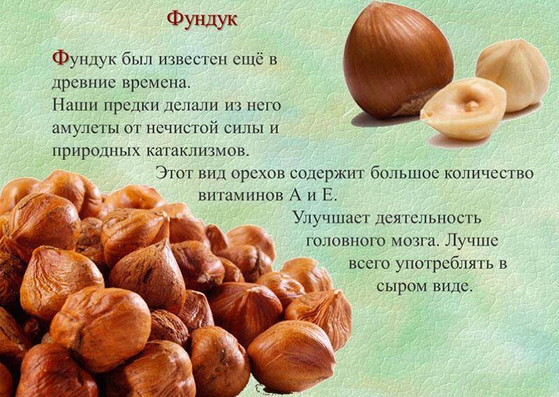 Можно ли есть грецкие орехи при эрозивном гастрите и болезни иных типов? польза, вред и правила употребления