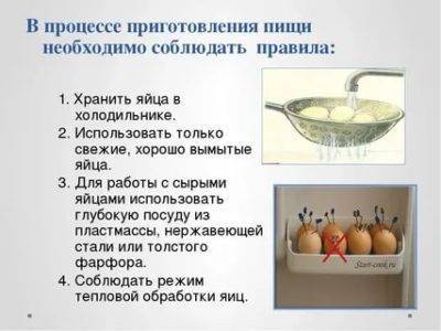 Сбор орехов макадамия: как и когда собирают урожай на производстве и в домашних условиях, а также определение зрелости плода и правила хранения