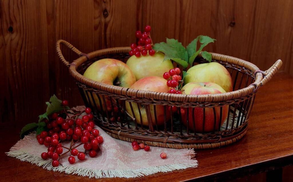 Осенью яблоки некуда девать. что из них приготовить? целых пять рецептов (на этот раз без шарлотки!)