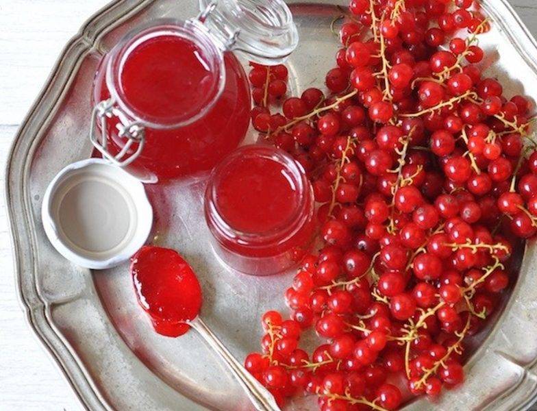 Красная смородина на зиму: 16 лучших рецептов приготовления, хранение заготовок