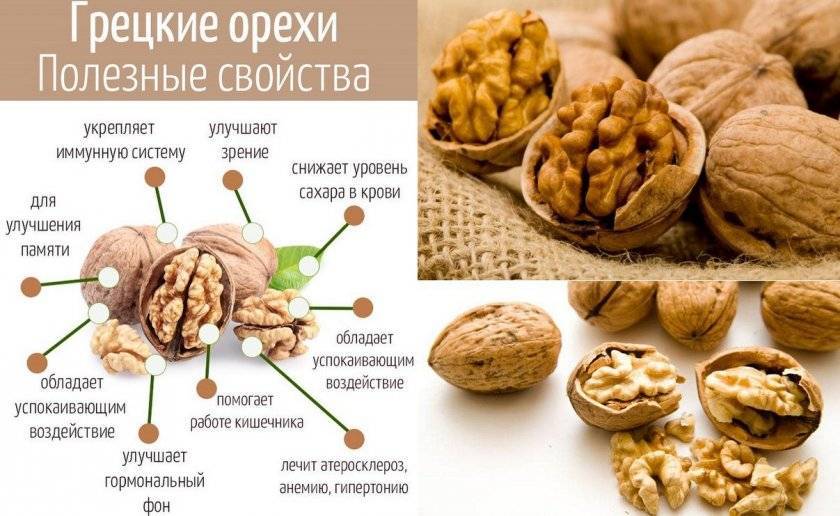 Польза и вред арахиса для здоровья