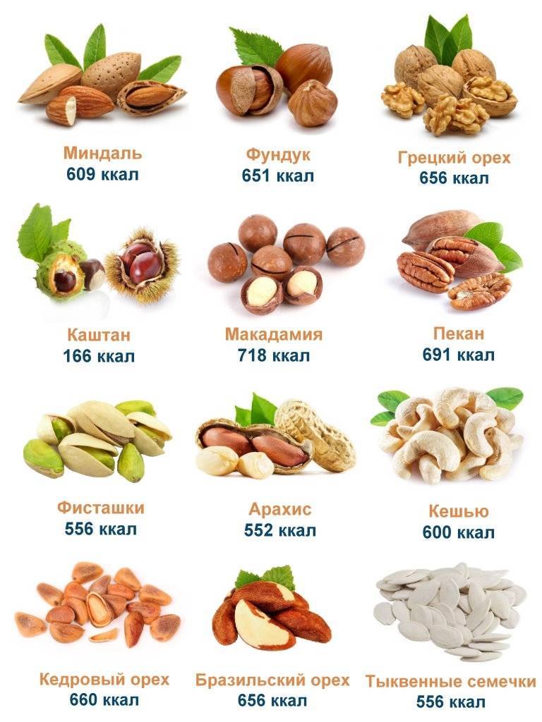 Полезные свойства и  калорийность грецких орехов?
