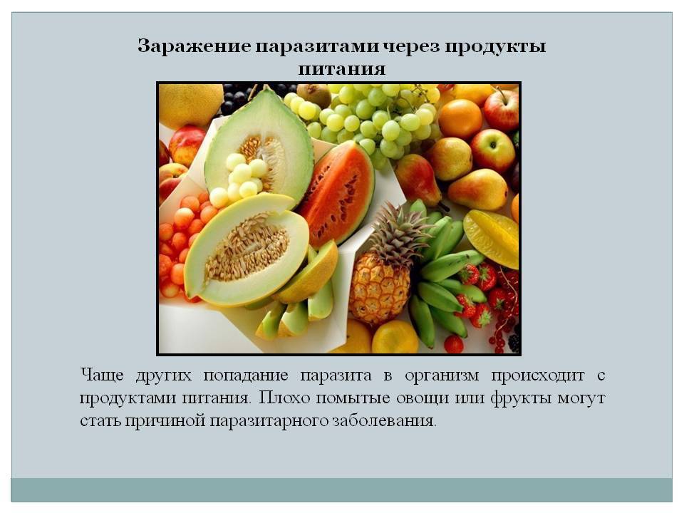 Пищевые продукты как источник вирусных инфекций
