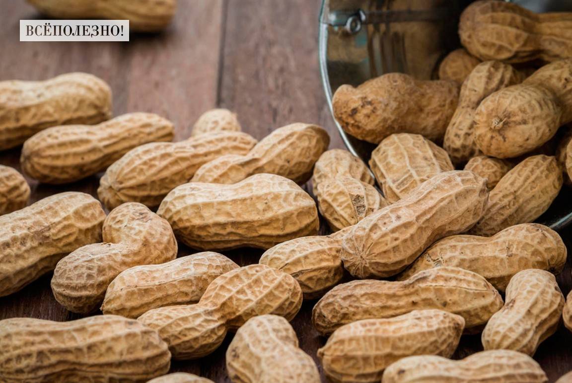 Какие орехи можно при панкреатите: 4 правила употребления ценного продукта