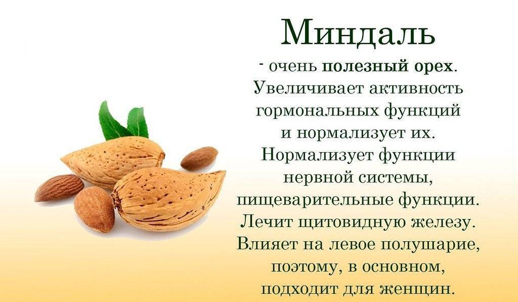 Грецкий орех: польза и вред для человека