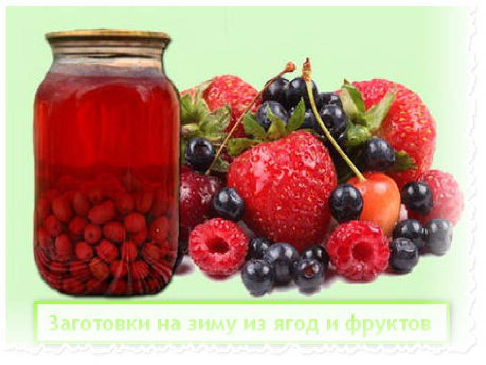 Глава iii. переработка плодов и ягод