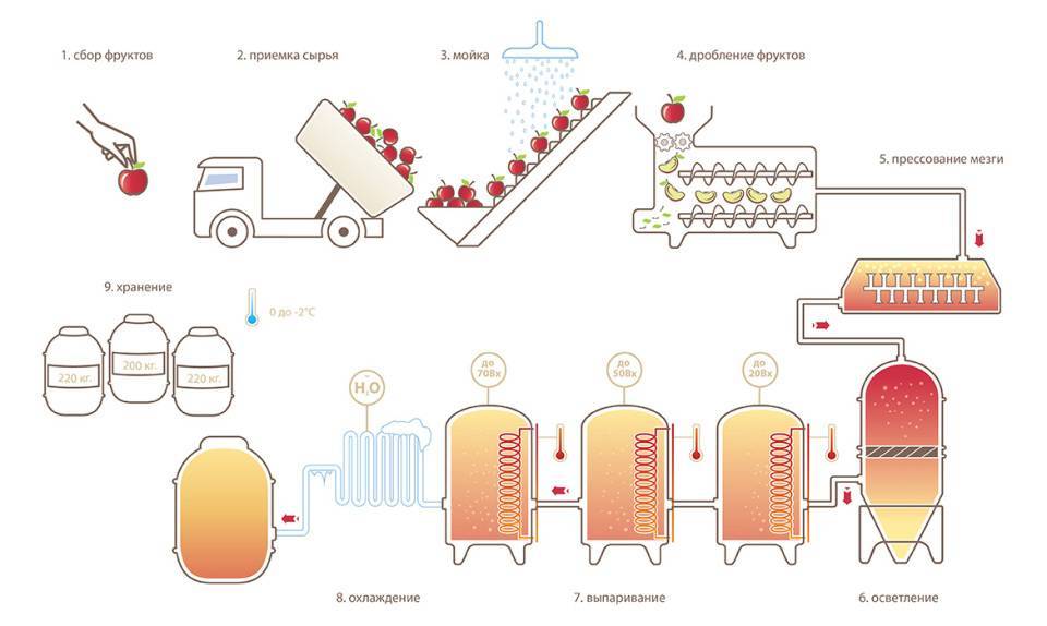 Основные этапы обработки яблок в порядке следования. Технологическая линия производству томатной пасты. Технология производства яблочного сока прямого отжима. Схема производства концентрированного сока. Технологическая схема производства плодово-ягодных вин.