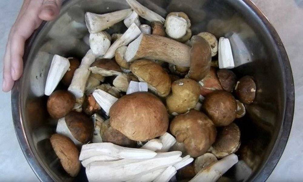 Как солить грибы в домашних условиях — пошаговый простой и быстрый рецепт в банках горячим и холодным способом. как солить грибы - разные способы заготовки лесного урожая