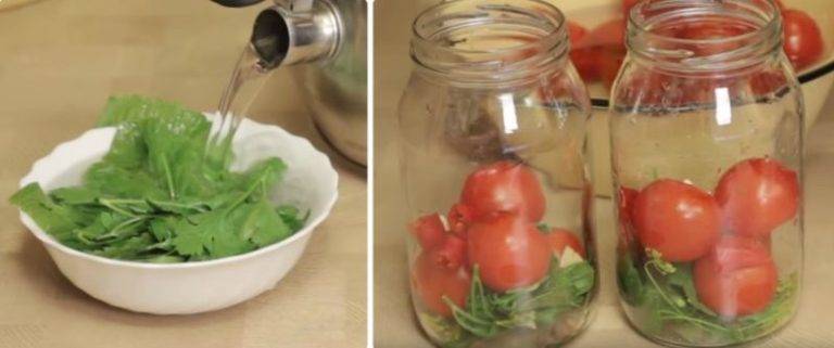 Рецепты маринования помидоров с красной смородиной на зиму
