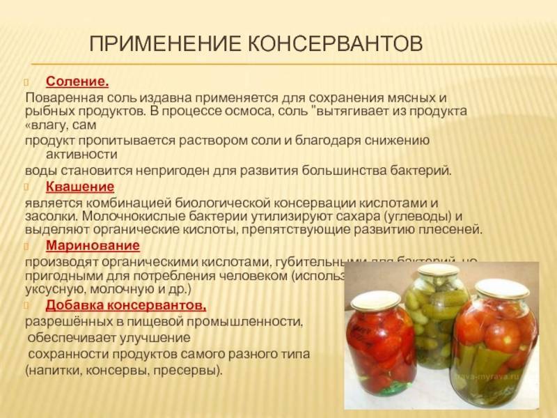 2 основы технологии консервирования плодов и овощей