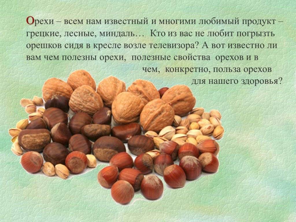 Фундук или грецкий орех — что полезнее | польза и вред