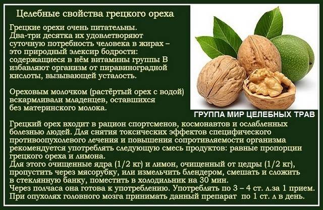 Грецкие орехи - с какого возраста можно детям?