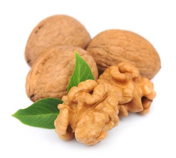 Грецкий орех: польза и вред, питательные и лечебные свойства, полезность орехового ядра для печени