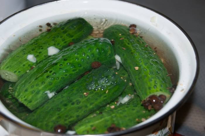Хрустящие малосольные огурцы холодной водой, рассолом - 5 классических рецептов быстрого приготовления