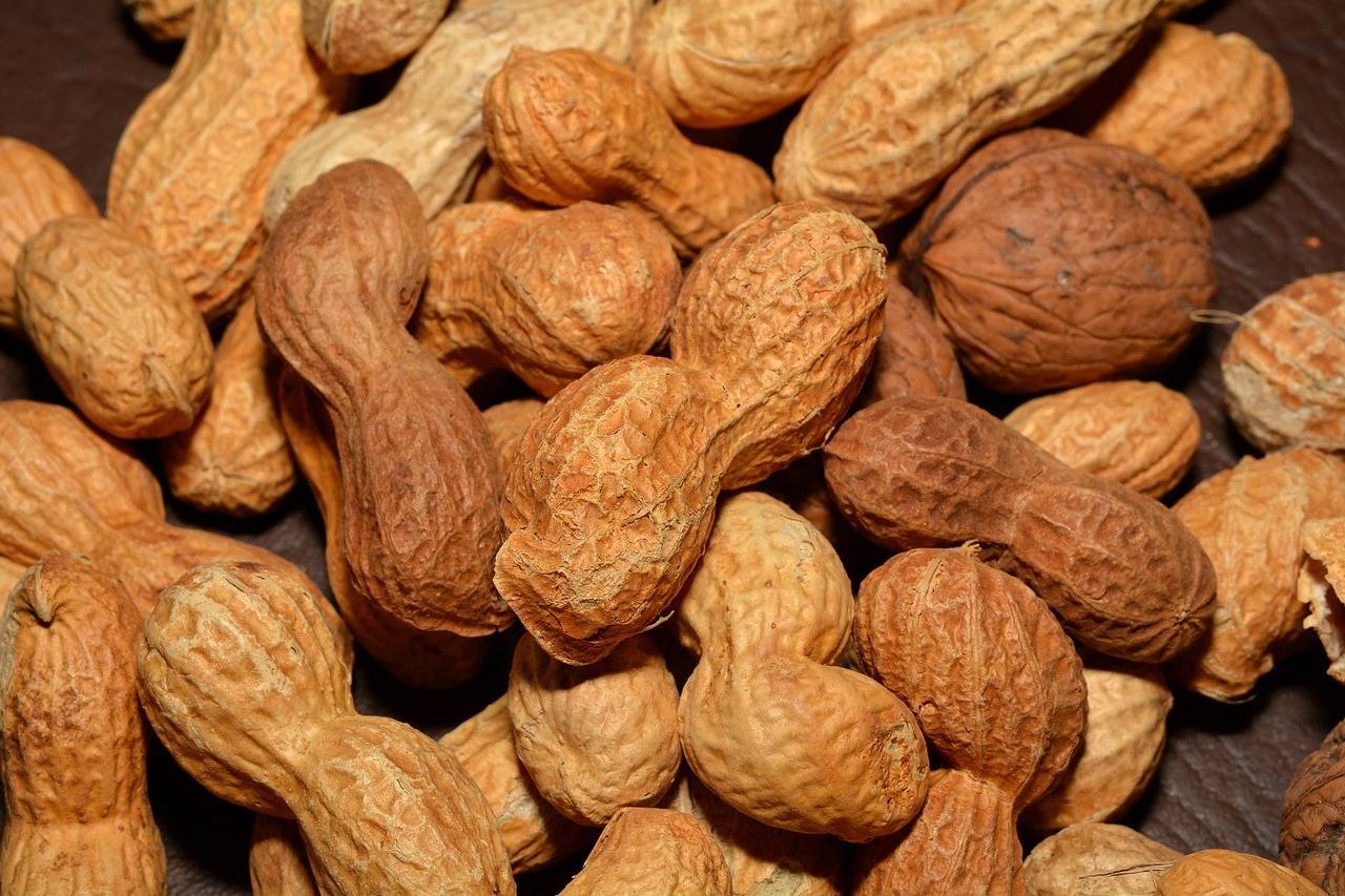 Арахис - вред и польза. полезные свойства для мужчин и женщин, противопоказания и аллергия на арахис
