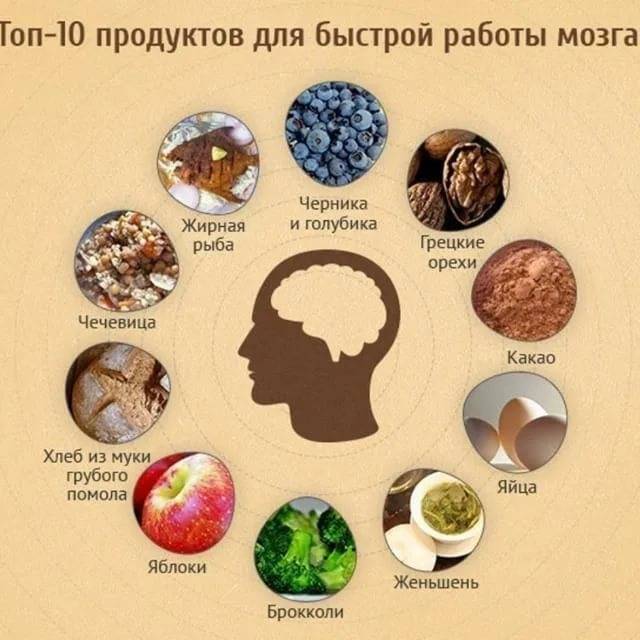 Польза грецкого ореха для мозга и лучшие рецепты с ним по мнению экспертов