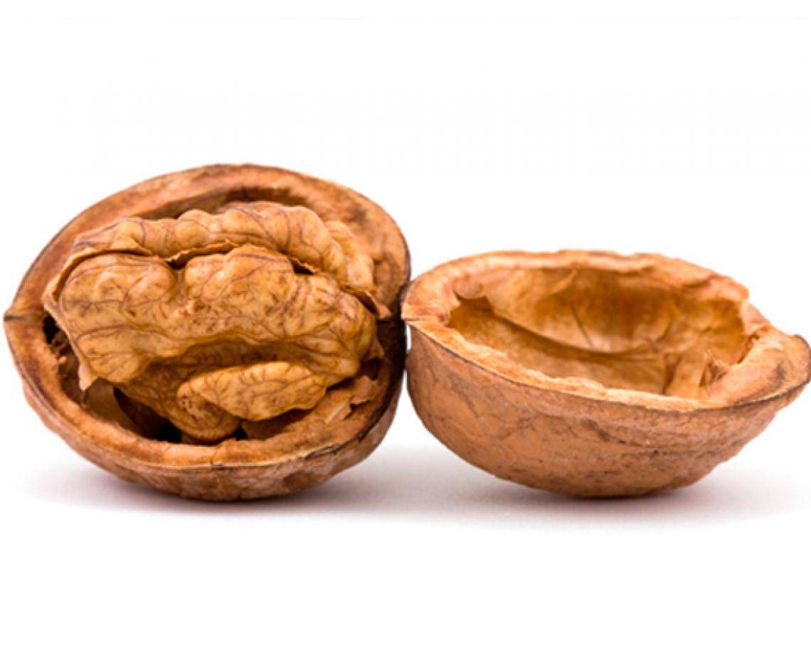 Скорлупа грецкого ореха: лечебные свойства и применение (настойки, отвары, зола, порошок)