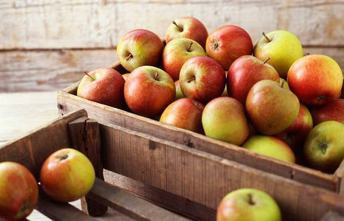 Способ хранения яблок и груш