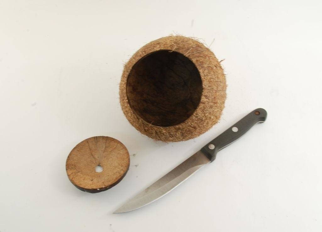 Как колоть орехи грецкие в домашних условиях: как правильно и быстро чистить от скорлупы, чем разбить, можно ли открыть ножом, иными приспособлениями, ломать руками?
