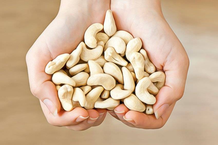 Орехи кешью – польза и вред для организма, полезный свойства и противопоказания