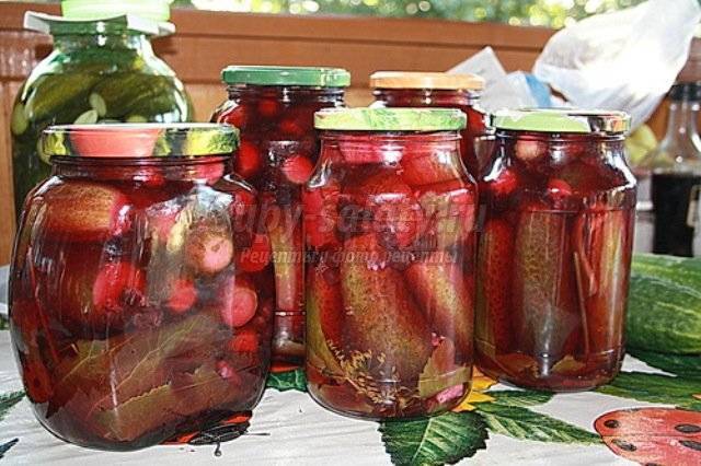ᐉ как использовать ягоды барбариса - godacha.ru