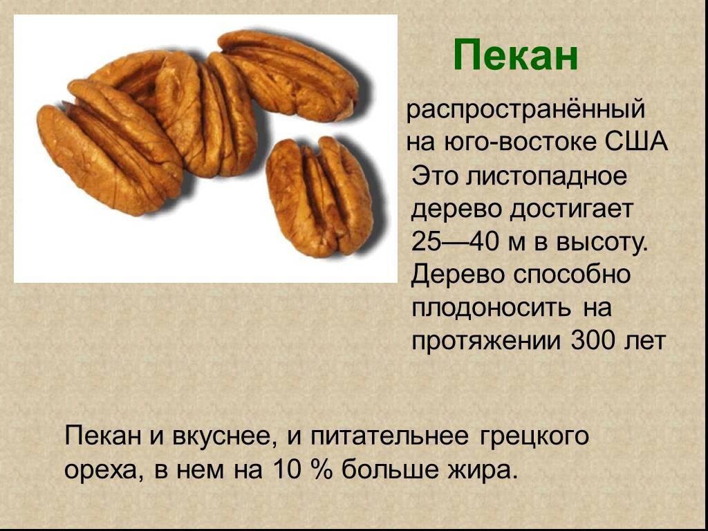 Орехи пекан