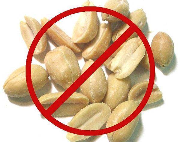 Панкреатит можно ли есть арахис