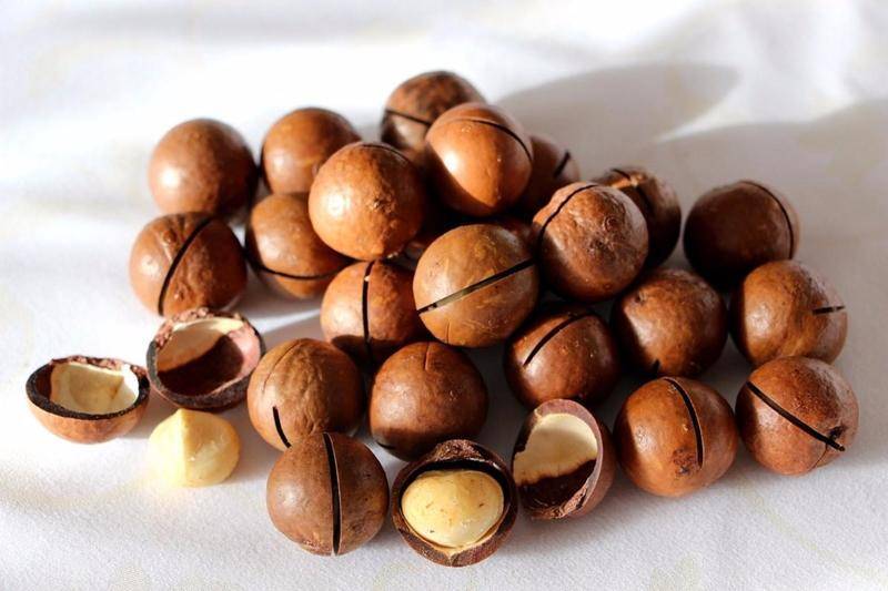 Почему орех макадамия имеет различные вкус и запах? обрабатывают ли плоды перед продажей?