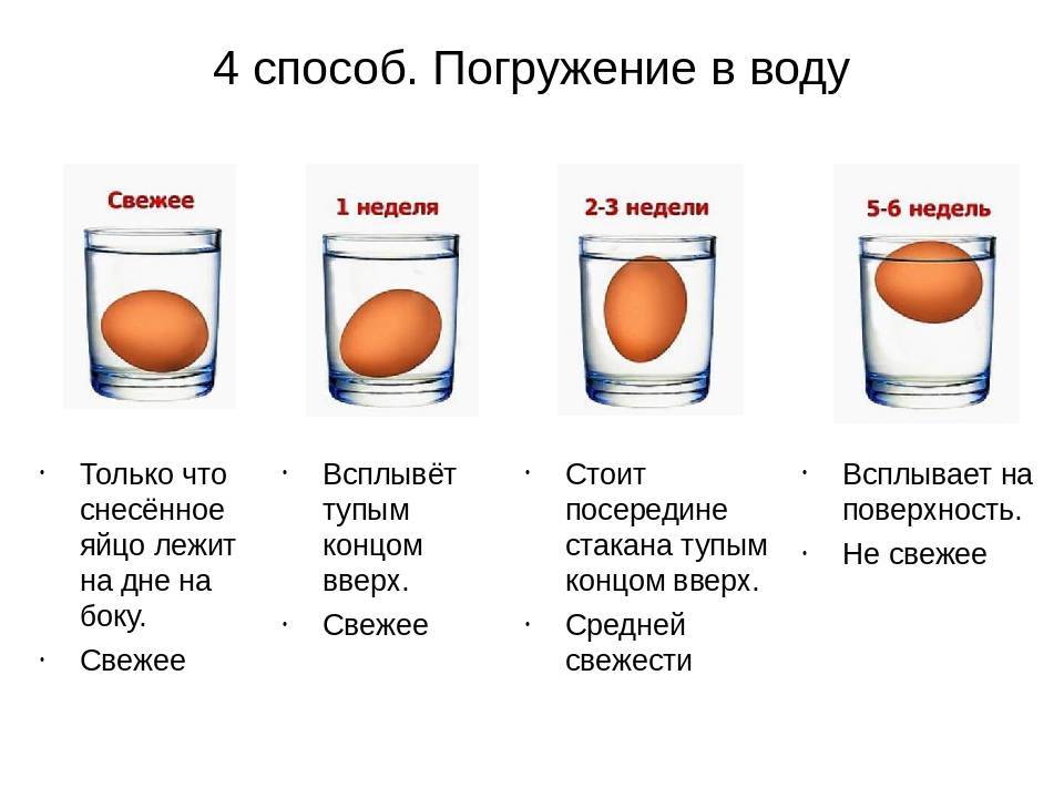 Свежесть сырого яйца. Как проверить яйца на свежесть. Как проверить яйца на свежесть в воде. Как узнать свежесть яиц. Как определить свежее яйцо.