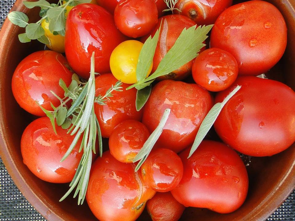 Рецепты маринования помидоров с корицей на зиму в домашних условиях