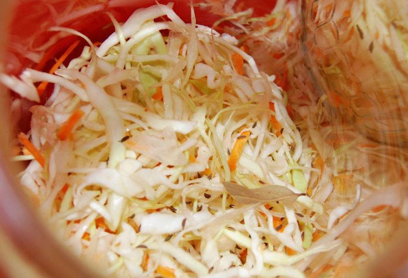 Квашеная капуста быстрого приготовления: 10 рецептов хрустящей и сочной капусты