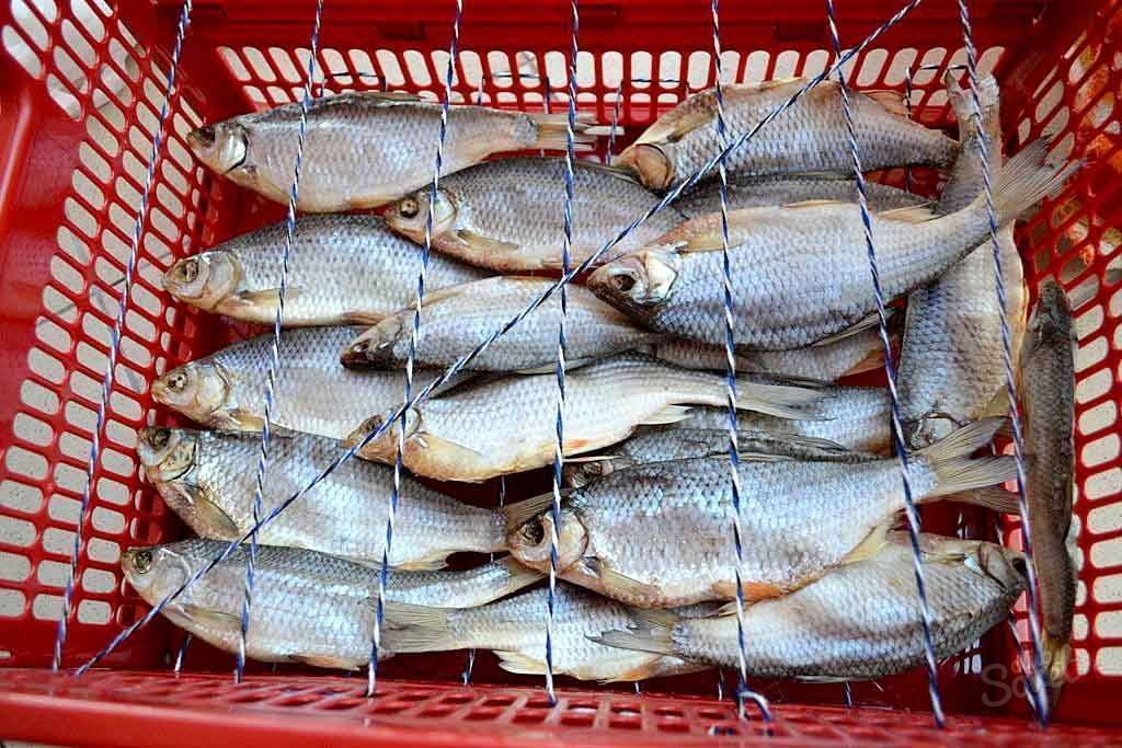 Рецепты засолки рыбы в домашних условиях