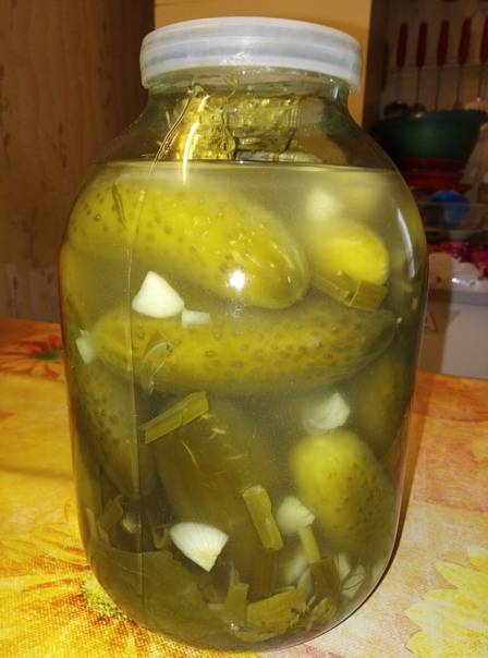 Засолка огурцов на зиму с уксусом: хрустящие огурцы в литровые банки, рецепты