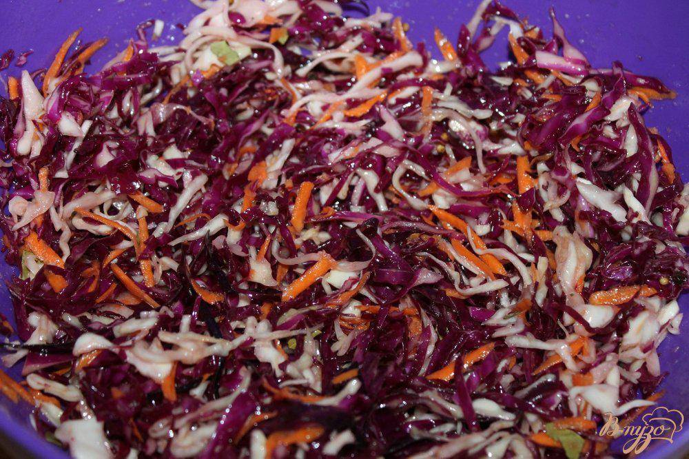 Салат на зиму из краснокочанной капусты – отличная и полезная закуска, украшающая любой стол: рецепты с фото и видео
