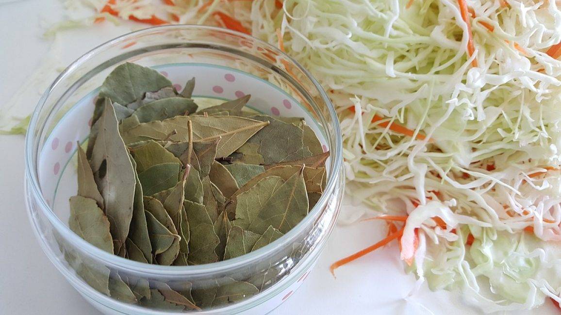 12 рецептов тушеной квашеной капусты, которая тает во рту