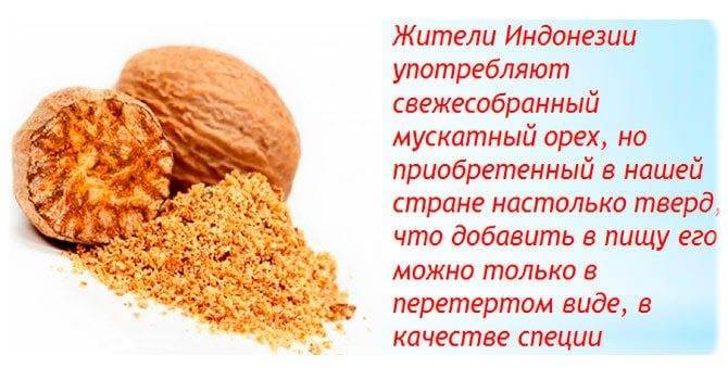 Мускатный орех: полезные свойства и противопоказания, как употреблять | zaslonovgrad.ru